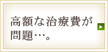 高額な治療費が問題…。